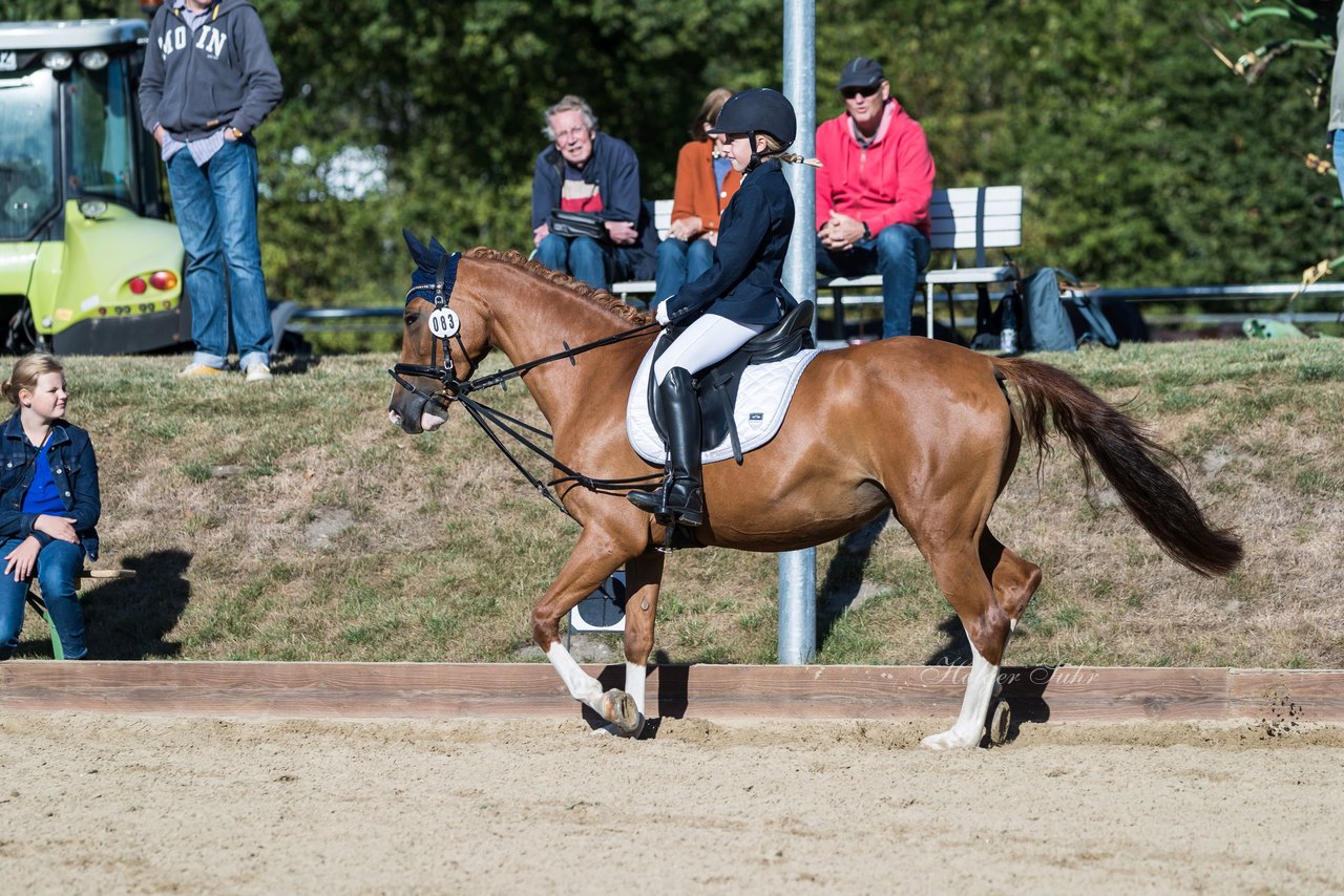 Bild 146 - Pony Akademie Turnier